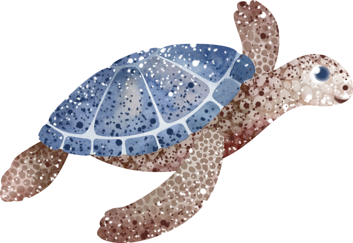 Tote Bag Animaux Marins 🐋