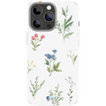 Coque Fonds 2