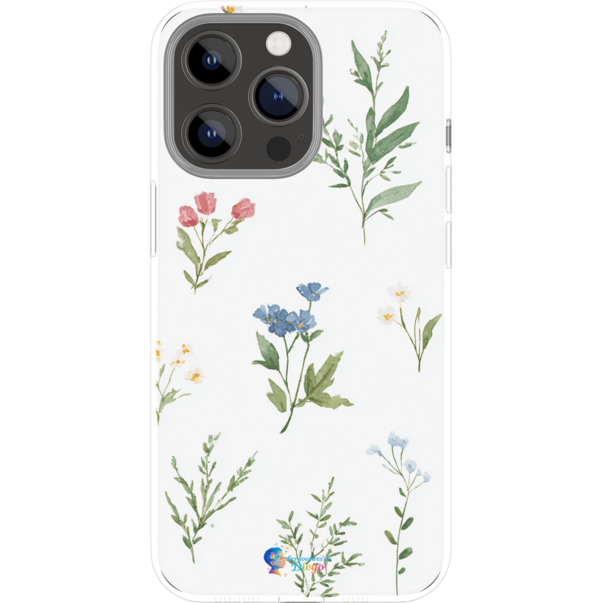 Coque Fonds 2